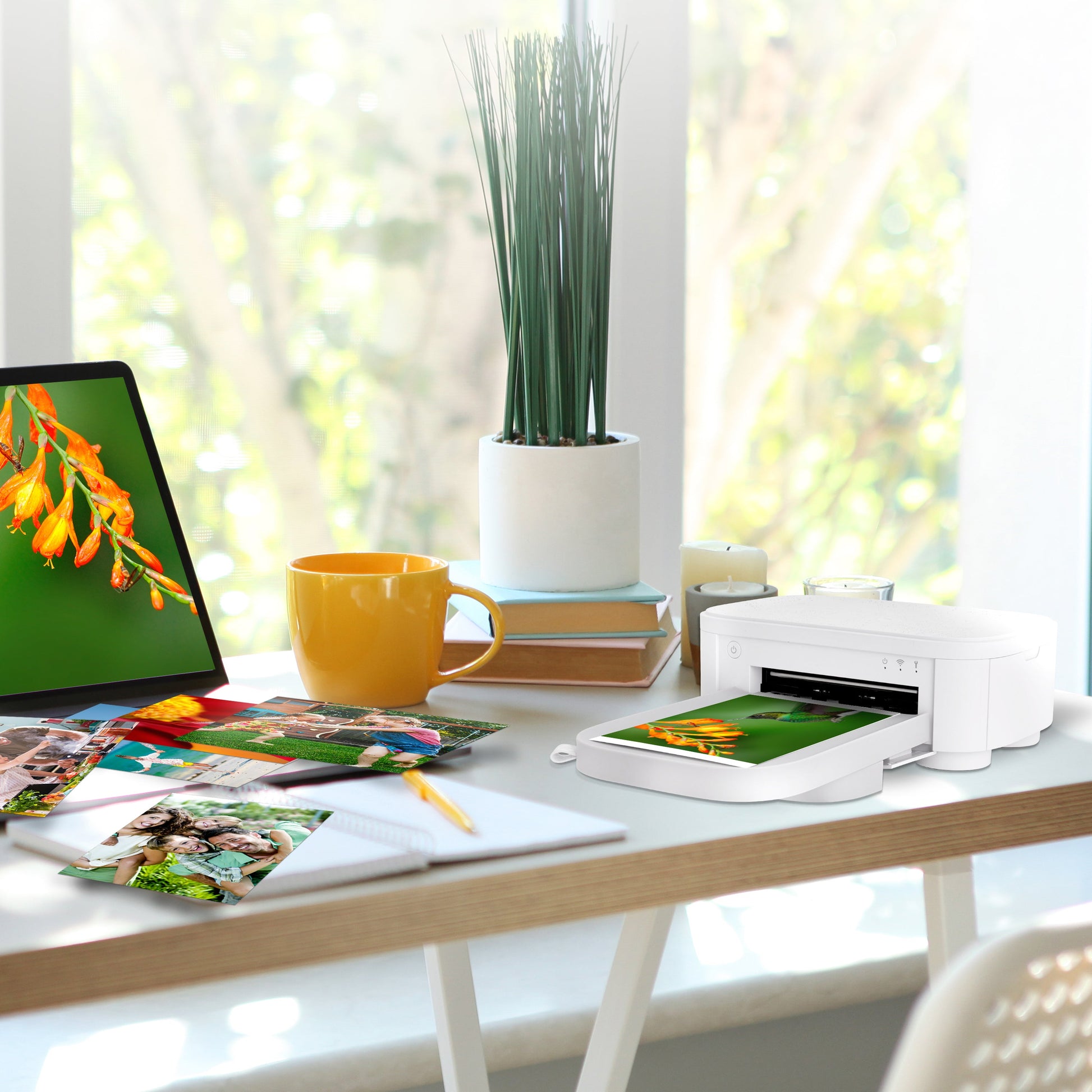 HP Sprocket Studio Plus 4x6" Photo Paper and Cartridges (Includes 108 Sheets and 2 Cartridges) Compatible only with HP Sprocket Studio Plus printer Sprocket Printers